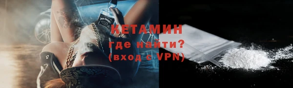 шишки Белокуриха