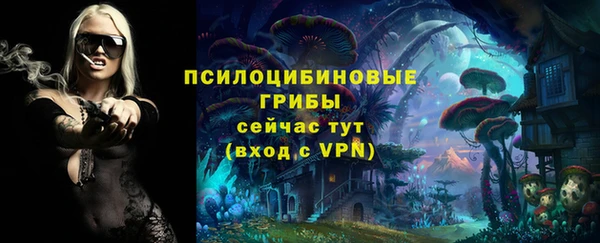 mdpv Баксан