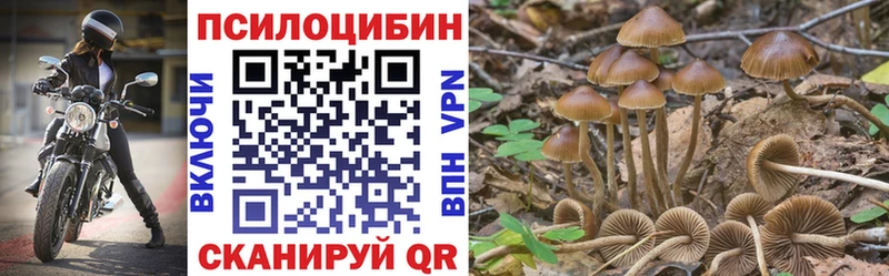 Галлюциногенные грибы Magic Shrooms  Каспийск 